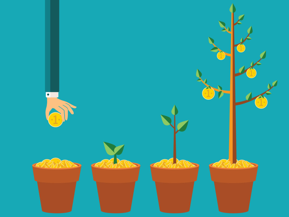 5 Things you need to be careful in growth stage