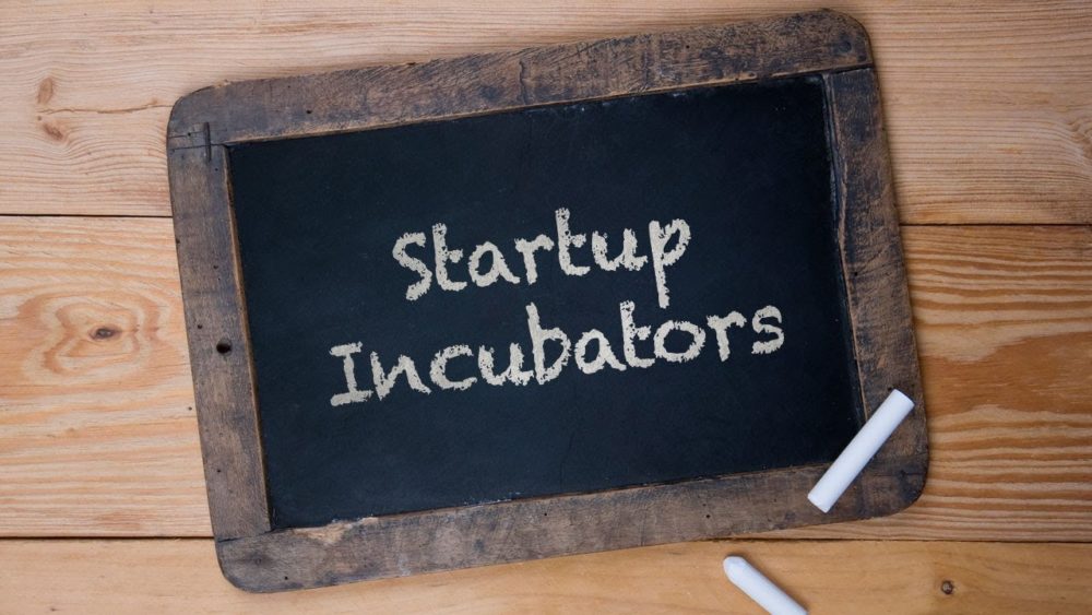 Startup incubator